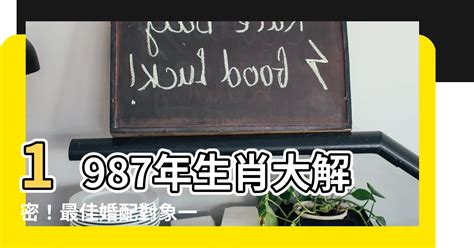 1987屬什麼|1987是民國幾年？1987是什麼生肖？1987幾歲？